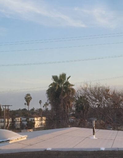 A rooftop view at dusk with palm trees and a clear sky in the background.