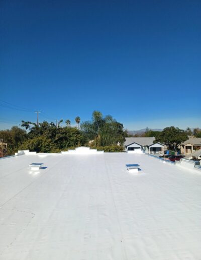 Flat white rooftop with skylights, surrounded by trees and houses under a clear blue sky.